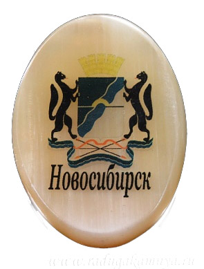 Новосибирск 002031-19