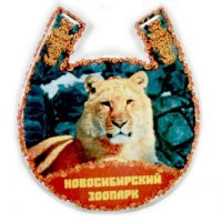 Основной