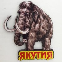 Мамонт 1 Якутия магнит дерево