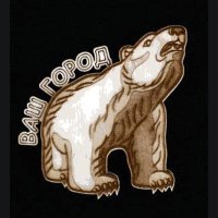 306086