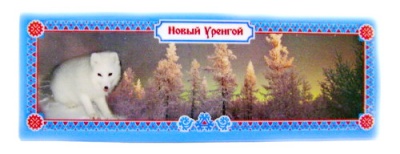 Новый Уренгой 306002-17